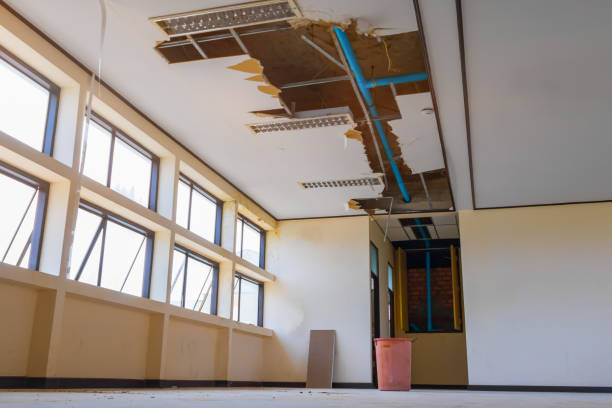 Best Mold removal after water damage  in Bellmore, NY