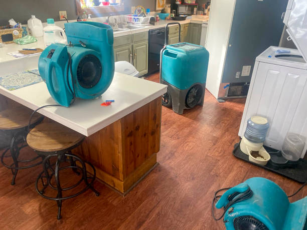 Best Carpet water damage restoration  in Bellmore, NY