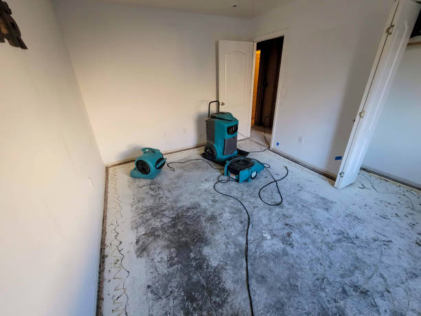 Best Emergency water damage restoration  in Bellmore, NY
