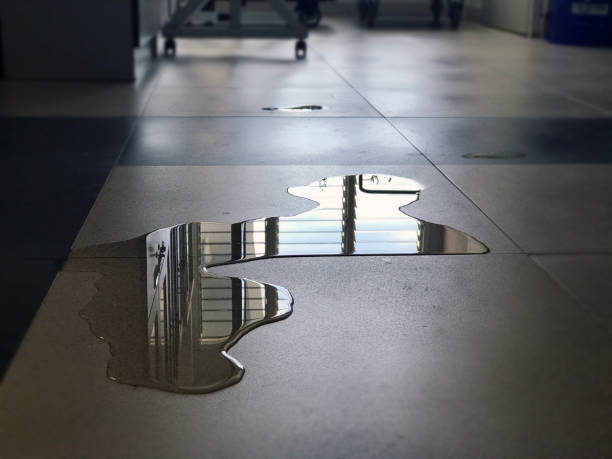 Best Professional water damage repair  in Bellmore, NY
