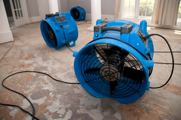 Best Residential water damage restoration  in Bellmore, NY
