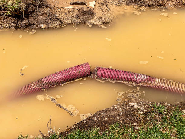  Bellmore, NY Water damage restoration Pros